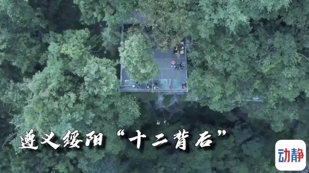 哈哈体育官方入口